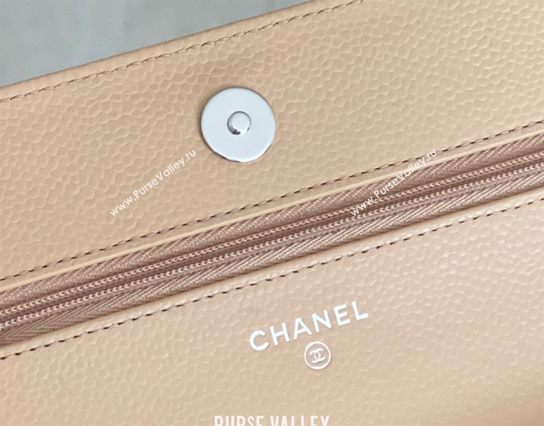 Chanel Grained Calfskin Classic Wallet on Chain WOC Beige/Silver 2024 Top Quality (MHE-24071611)