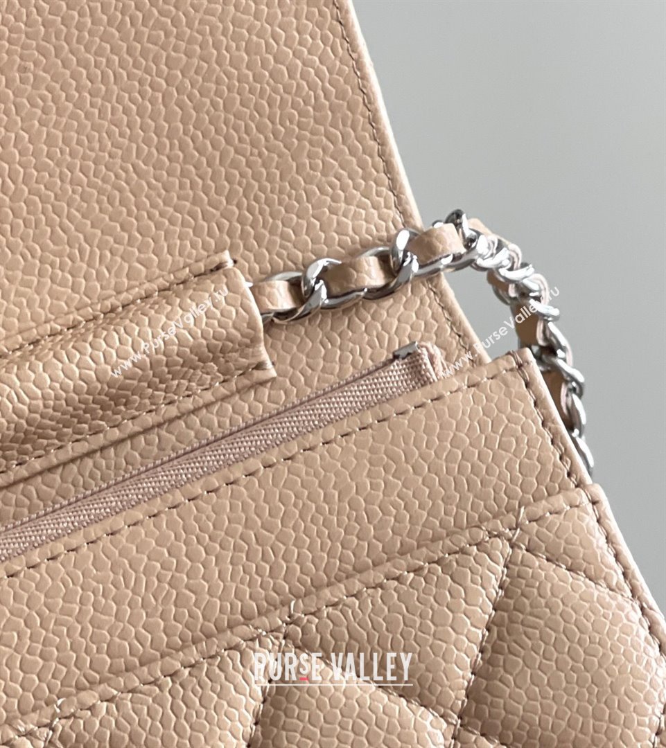 Chanel Grained Calfskin Classic Wallet on Chain WOC Beige/Silver 2024 Top Quality (MHE-24071611)