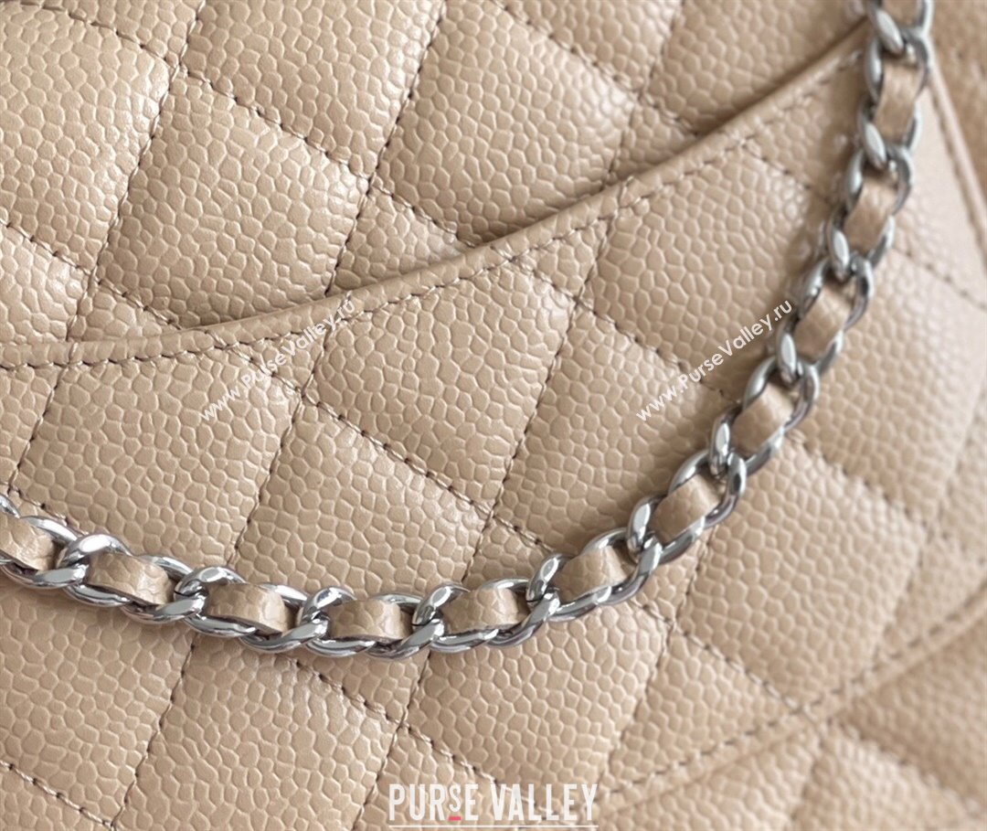 Chanel Grained Calfskin Classic Wallet on Chain WOC Beige/Silver 2024 Top Quality (MHE-24071611)