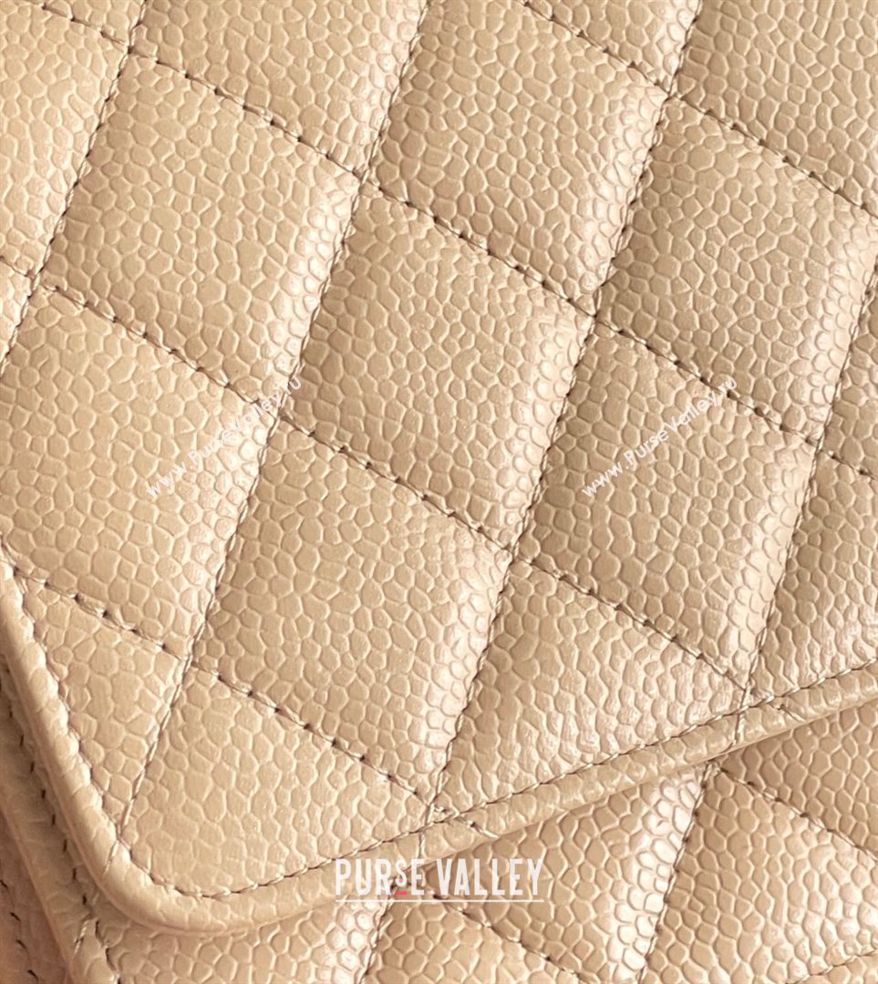 Chanel Grained Calfskin Classic Wallet on Chain WOC Beige/Silver 2024 Top Quality (MHE-24071611)