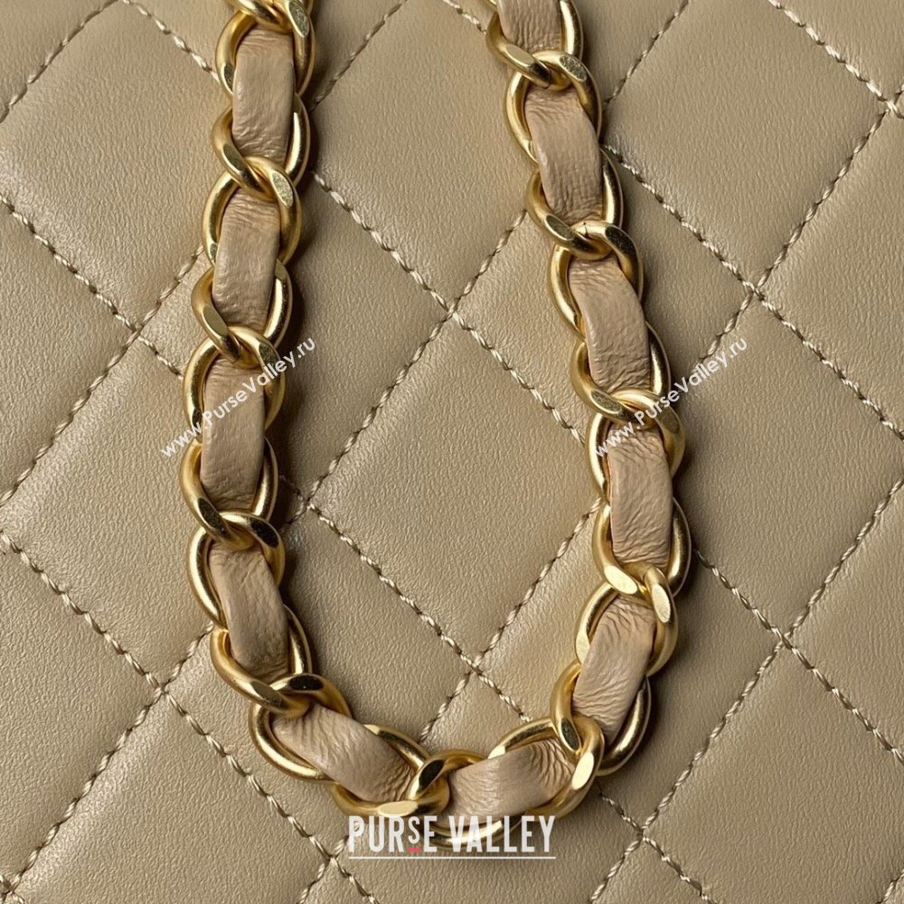 Chanel Leather Flap bag with Top Handle AS6025 Beige 2024 (YEZI-24052109)