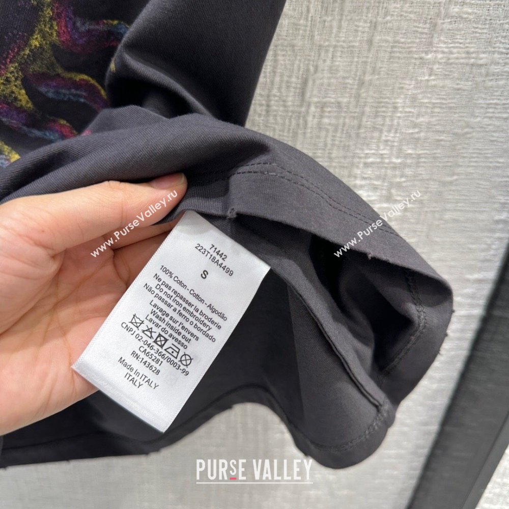 Dior Cotton T-shirt D040707 Grey 2024 (Q-24040707)