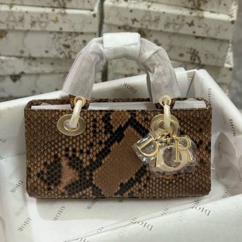 Dior Lady D-Joy Small Bag in Python Leather Brown 2024 (XY-24110101)