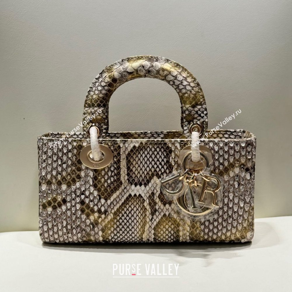 Dior Lady D-Joy Small Bag in Python Leather Grey/Gold 2024 (XY-24110102)