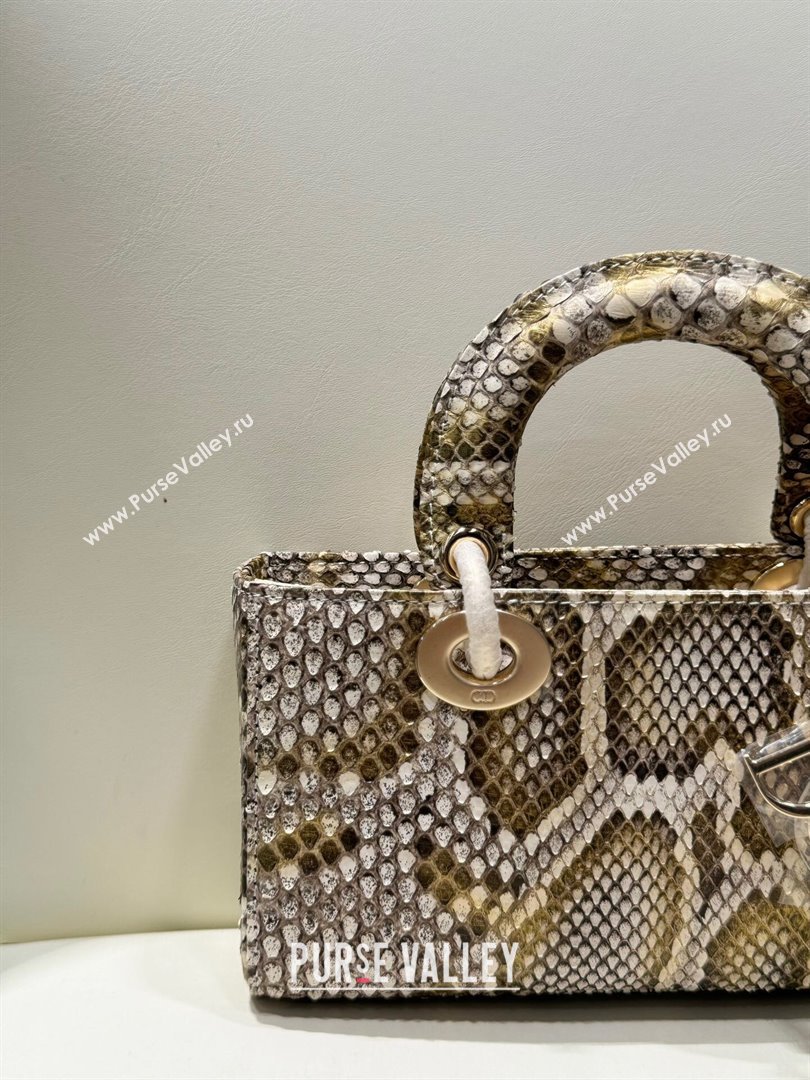 Dior Lady D-Joy Small Bag in Python Leather Grey/Gold 2024 (XY-24110102)