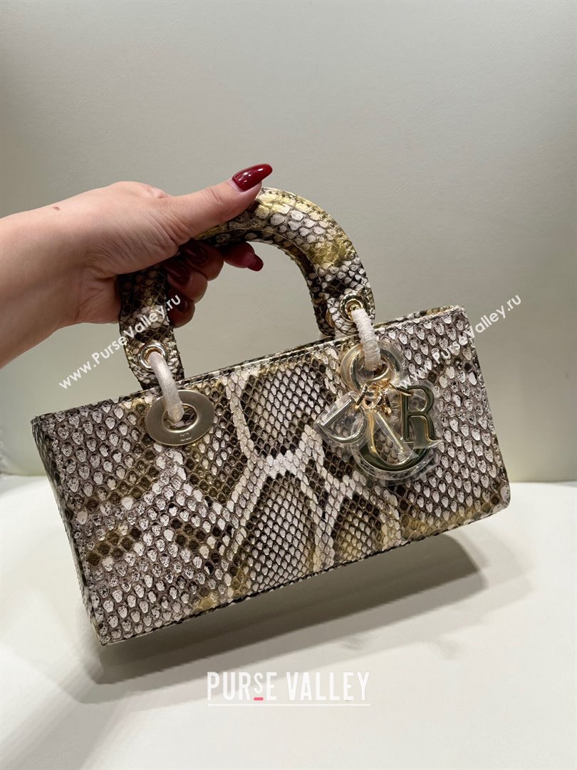 Dior Lady D-Joy Small Bag in Python Leather Grey/Gold 2024 (XY-24110102)