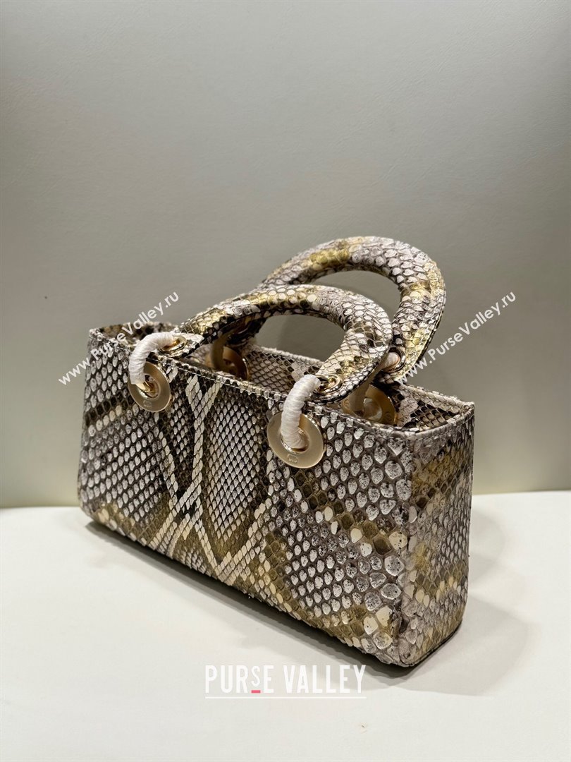 Dior Lady D-Joy Small Bag in Python Leather Grey/Gold 2024 (XY-24110102)