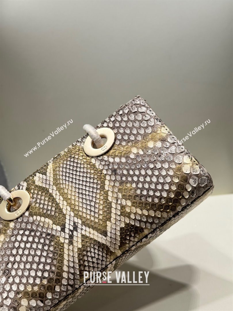 Dior Lady D-Joy Small Bag in Python Leather Grey/Gold 2024 (XY-24110102)