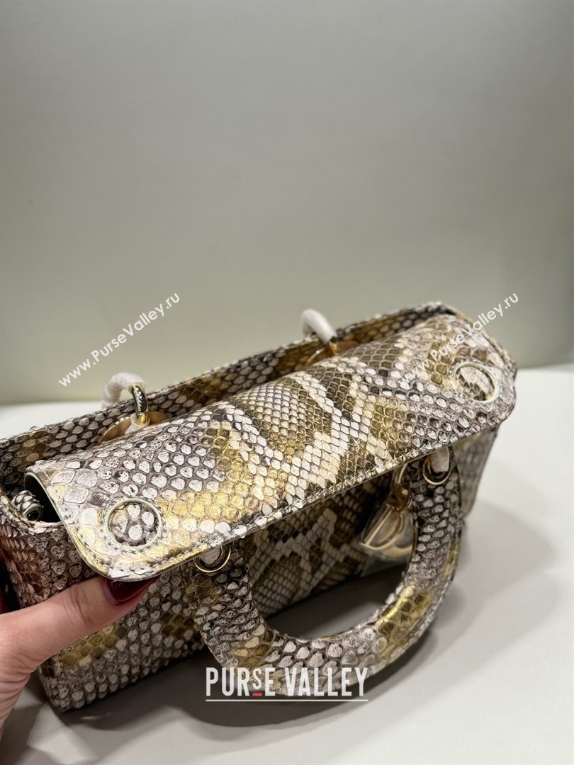 Dior Lady D-Joy Small Bag in Python Leather Grey/Gold 2024 (XY-24110102)