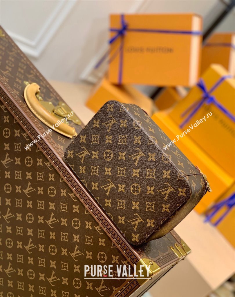 Louis Vuitton Packing Cube MM Travel Organizer M43689 Monogram Canvas 2025 (KI-250211056)