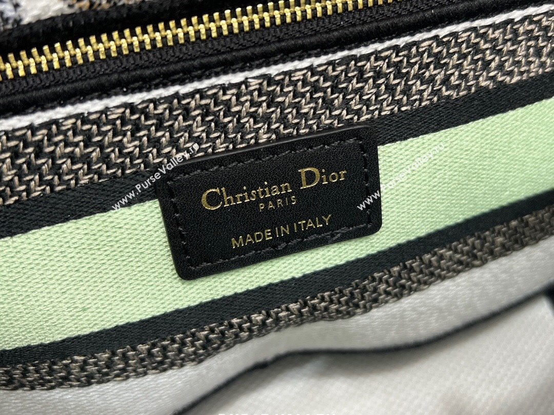 Dior Medium Lady D-Lite Bag in Green and White Butterfly Around The World Embroidery 2024 (DMZ-24022804)