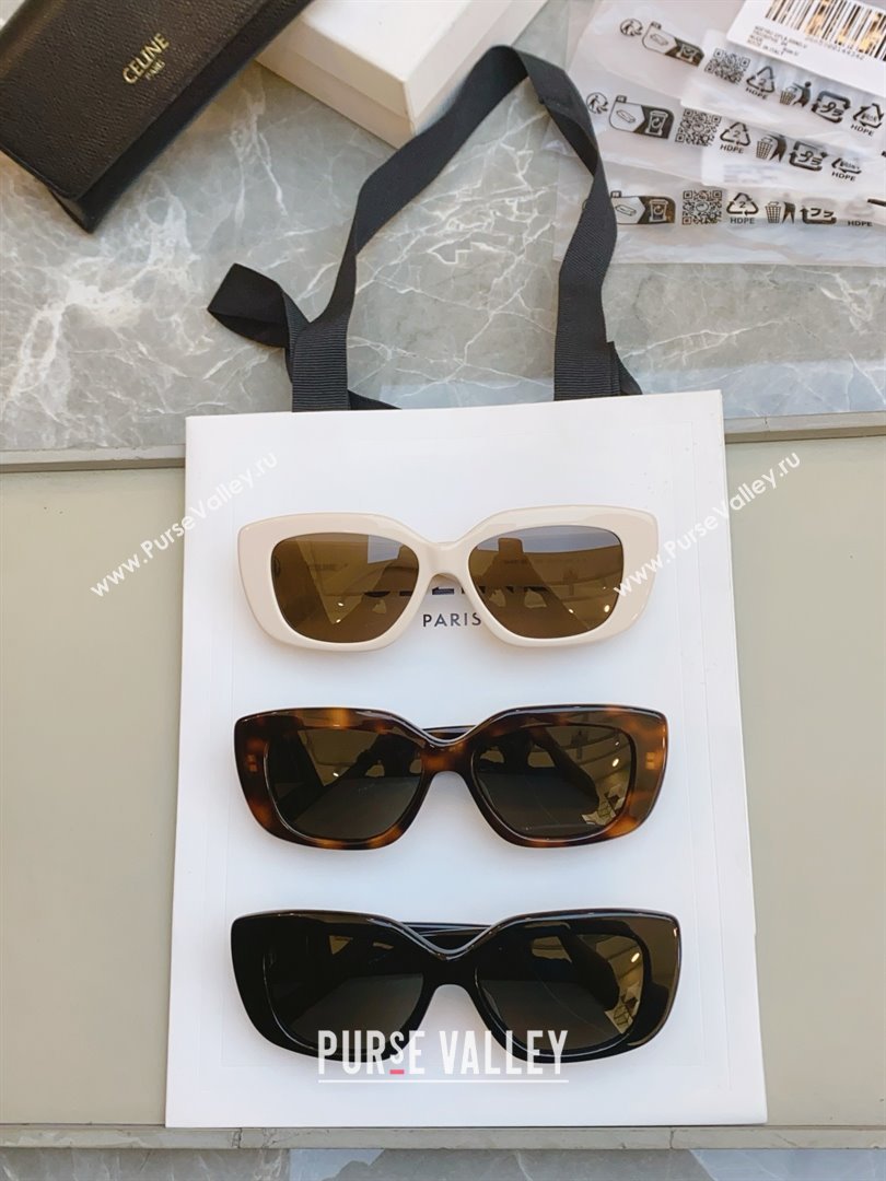 Celine Sunglasses CE40216 2024 (A-24123101)