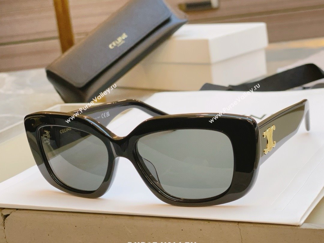 Celine Sunglasses CE40216 2024 (A-24123101)