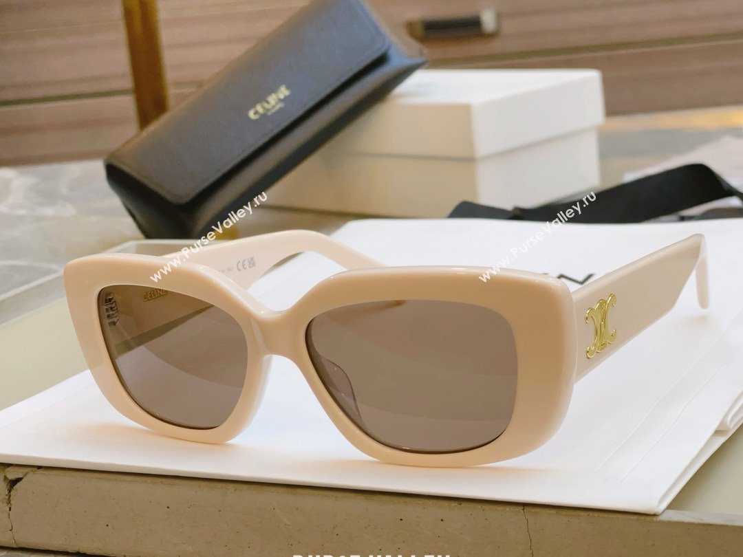 Celine Sunglasses CE40216 2024 (A-24123101)