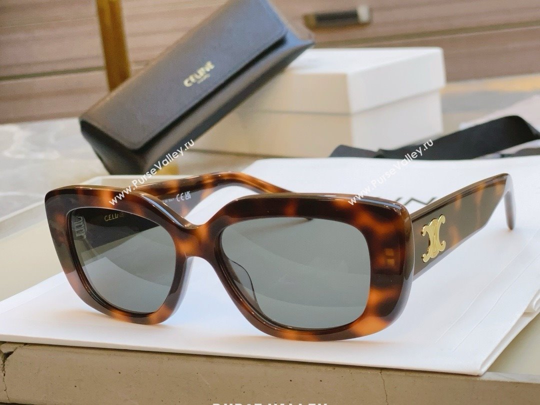 Celine Sunglasses CE40216 2024 (A-24123101)