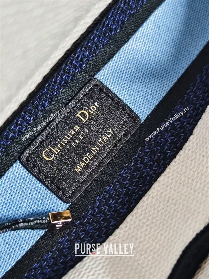 Dior Medium Lady D-Lite Bag in White Multicolor Embroidery Blue 2024 (DMZ-24022802)
