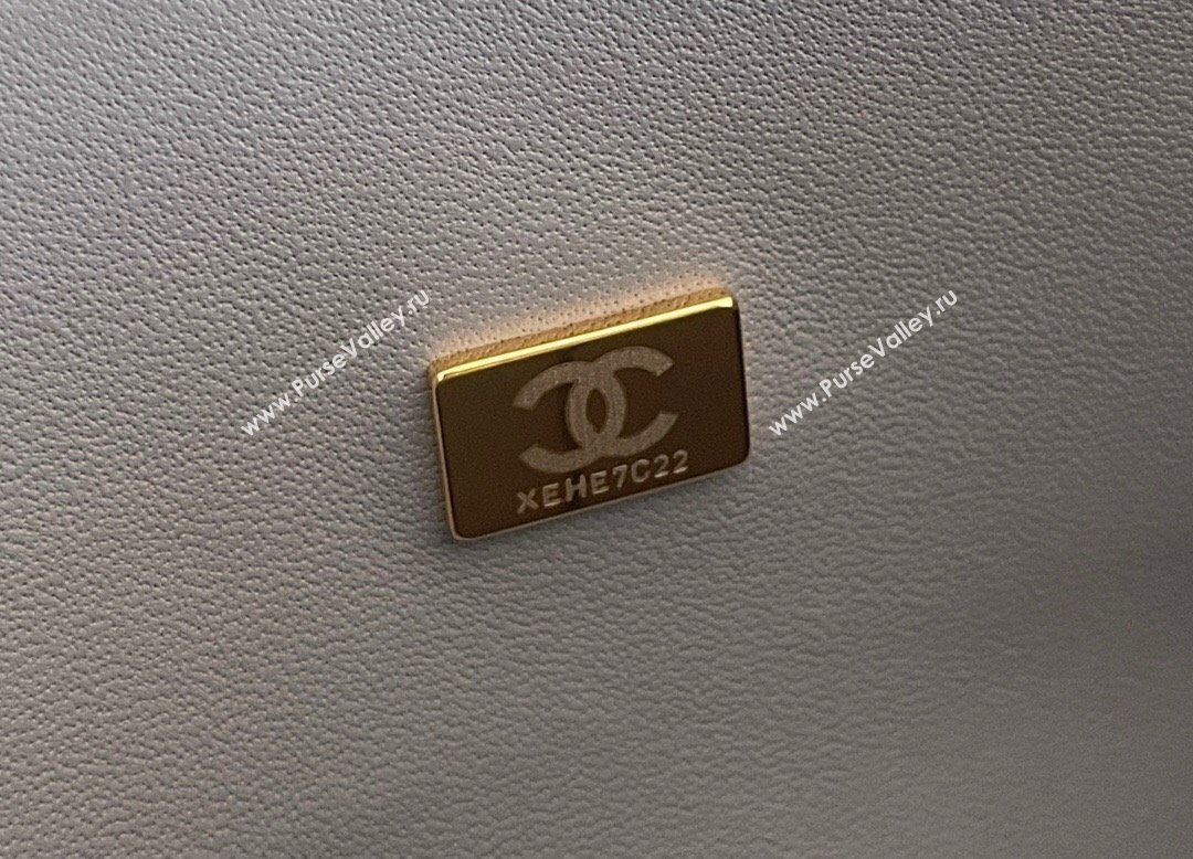 Chanel Grained Calfskin Medium Classic Flap Bag A01112 Grey/Light Gold 2023 Original Quality (MHE-23121212)