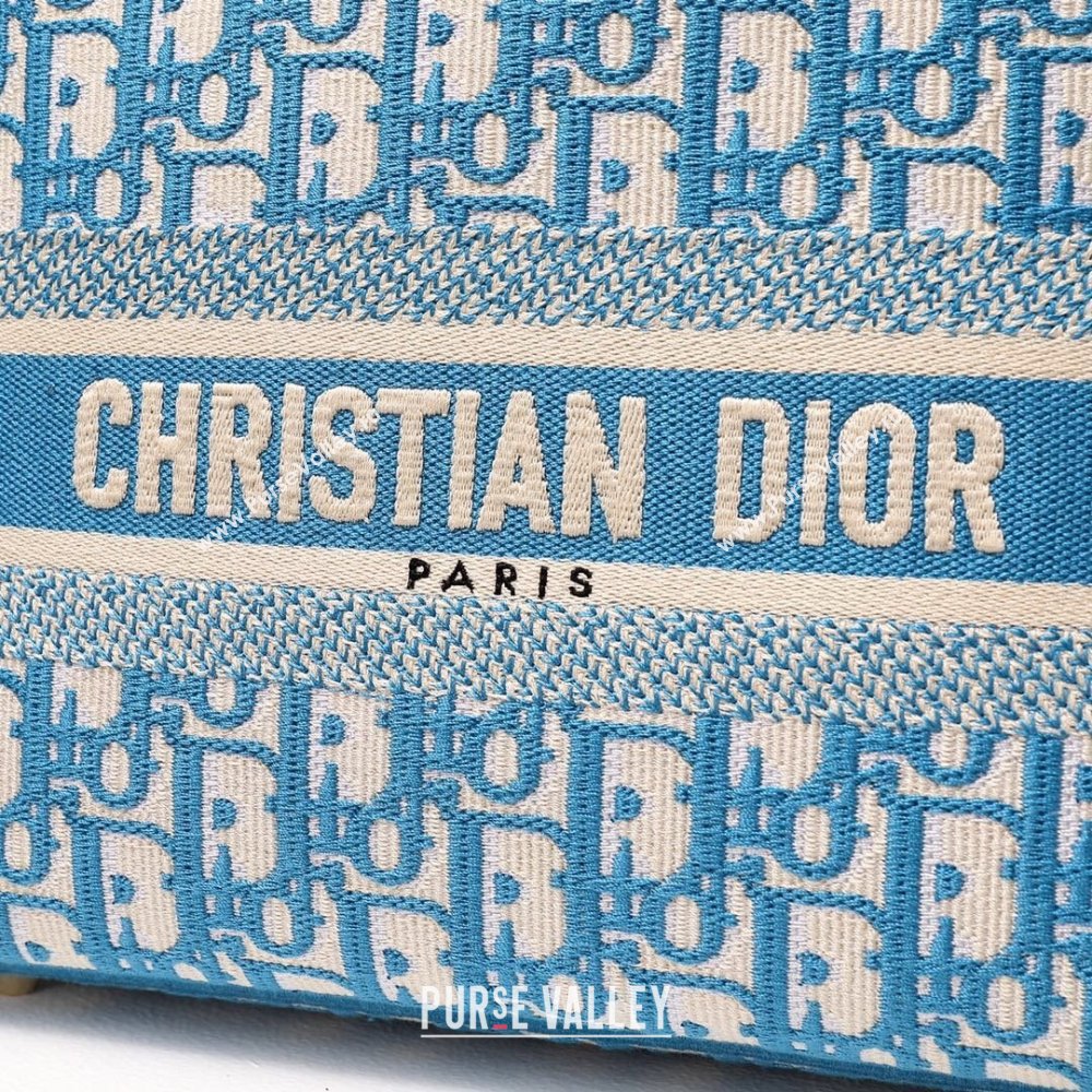 Dior Medium Lady D-Lite Bag in Blue Oblique Embroidery 2024 (DMZ-24022806)