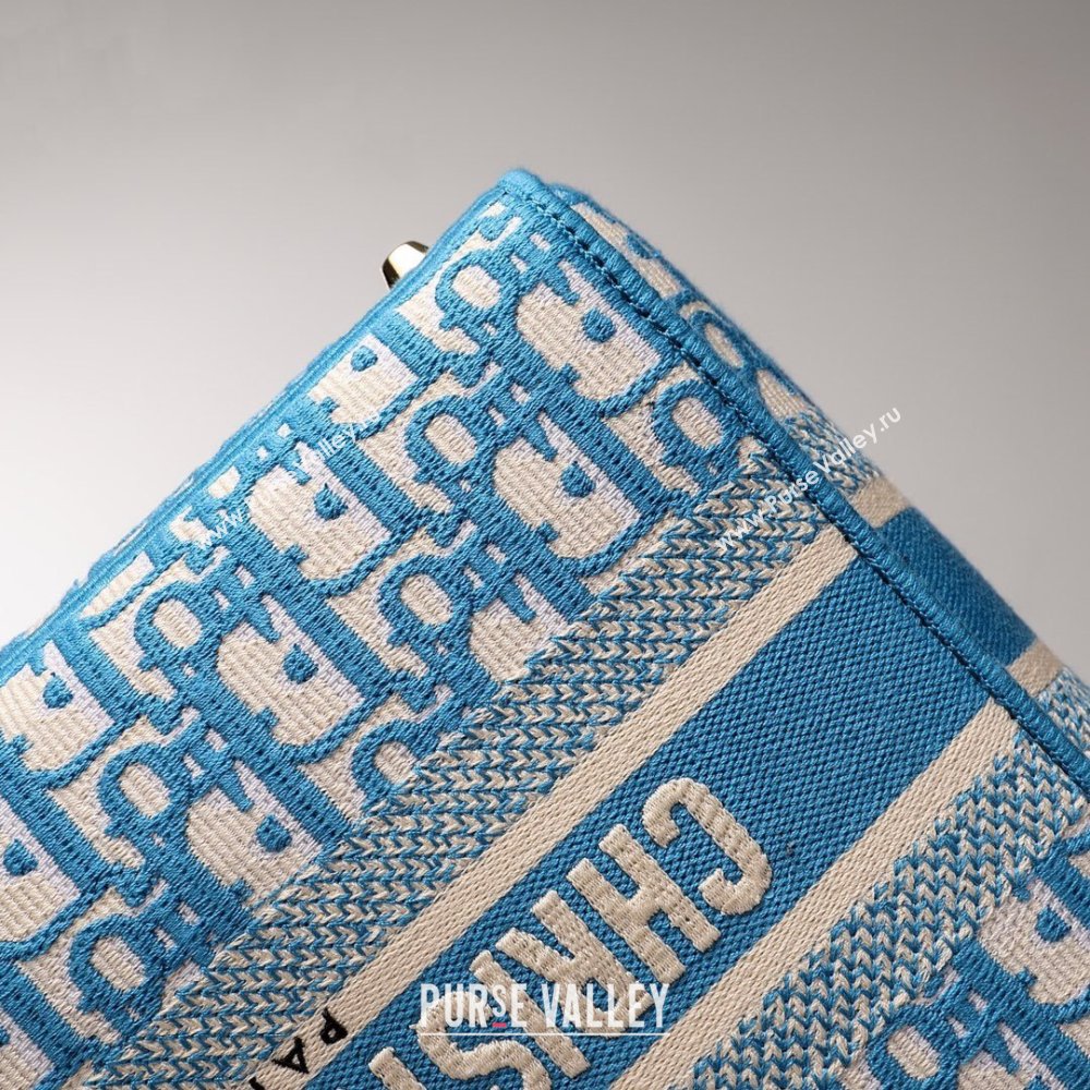 Dior Medium Lady D-Lite Bag in Blue Oblique Embroidery 2024 (DMZ-24022806)