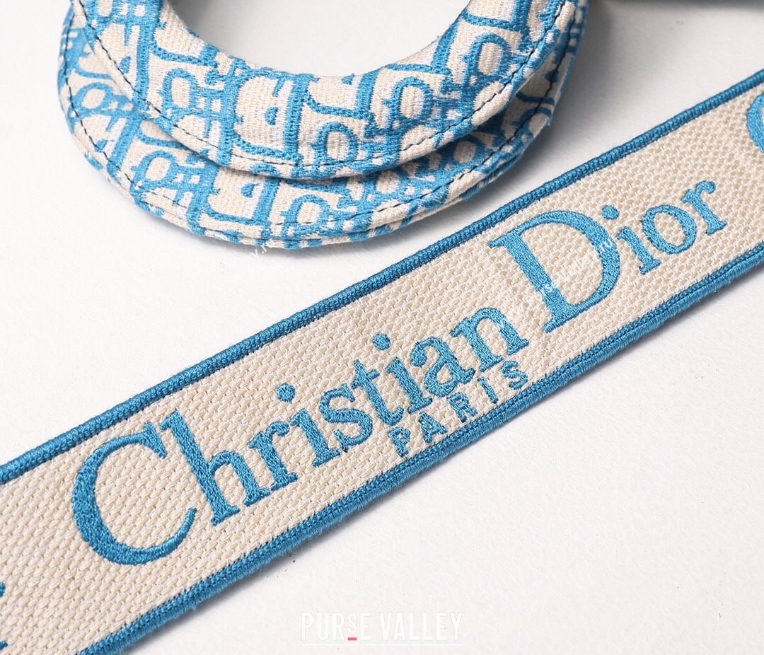 Dior Medium Lady D-Lite Bag in Blue Oblique Embroidery 2024 (DMZ-24022806)