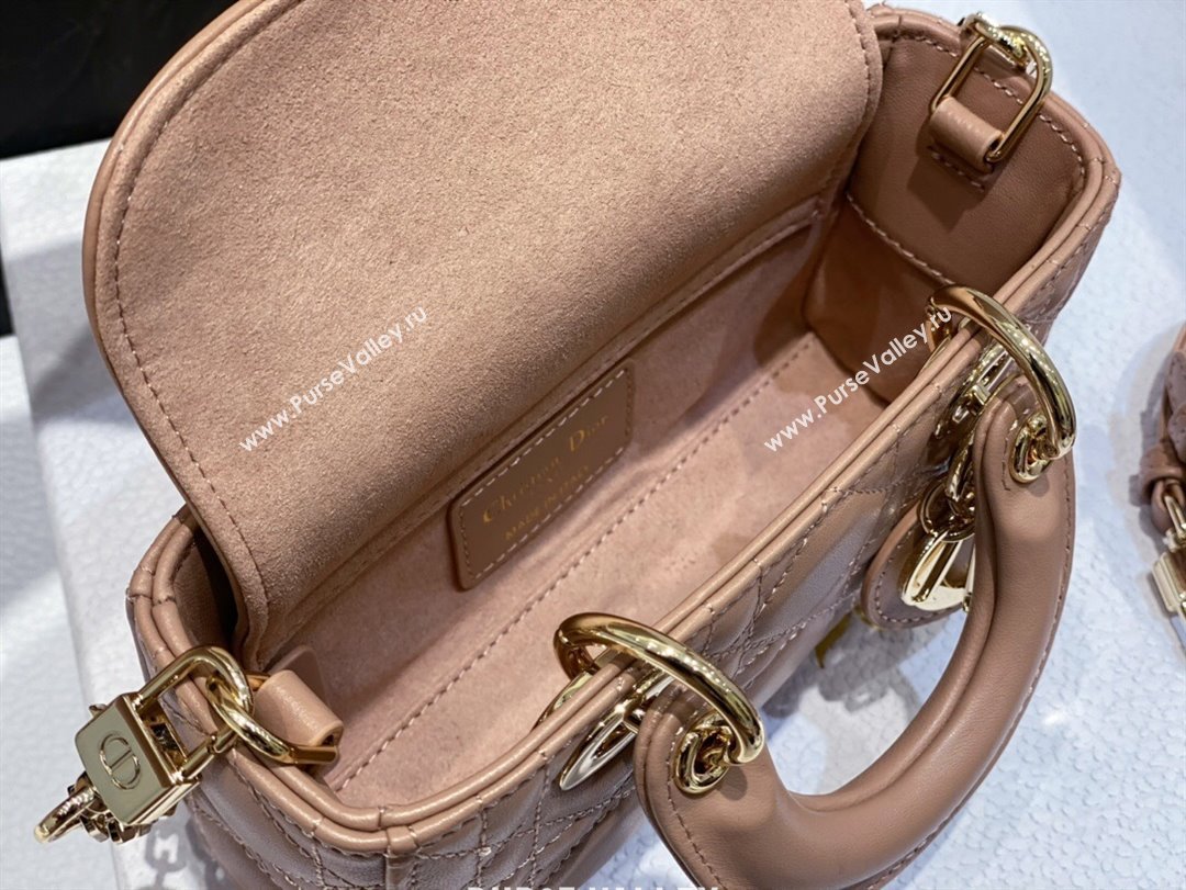 Dior Lady D-Joy Micro Bag in Cannage Lambskin Dusty Pink 2025 M9250 (XXG-250806080)