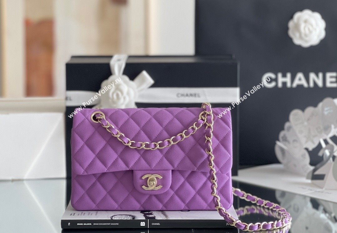 Chanel Grained Calfskin Small Classic Flap Bag A01113 Purple/Light Gold 2023 Original Quality (MHE-23121223)