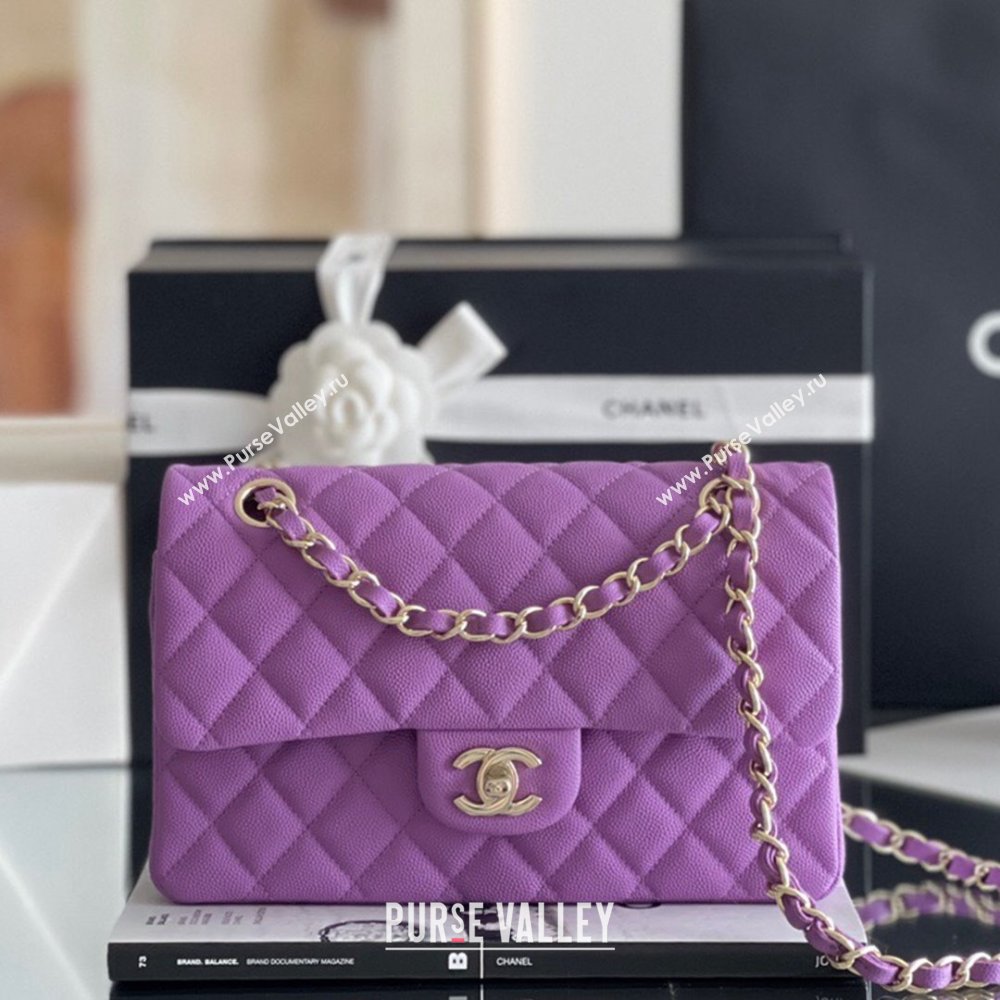 Chanel Grained Calfskin Small Classic Flap Bag A01113 Purple/Light Gold 2023 Original Quality (MHE-23121223)