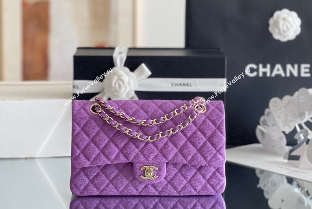 Chanel Grained Calfskin Medium Classic Flap Bag A01112 Purple/Light Gold 2023 Original Quality (MHE-23121220)