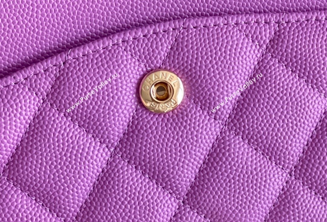 Chanel Grained Calfskin Medium Classic Flap Bag A01112 Purple/Light Gold 2023 Original Quality (MHE-23121220)