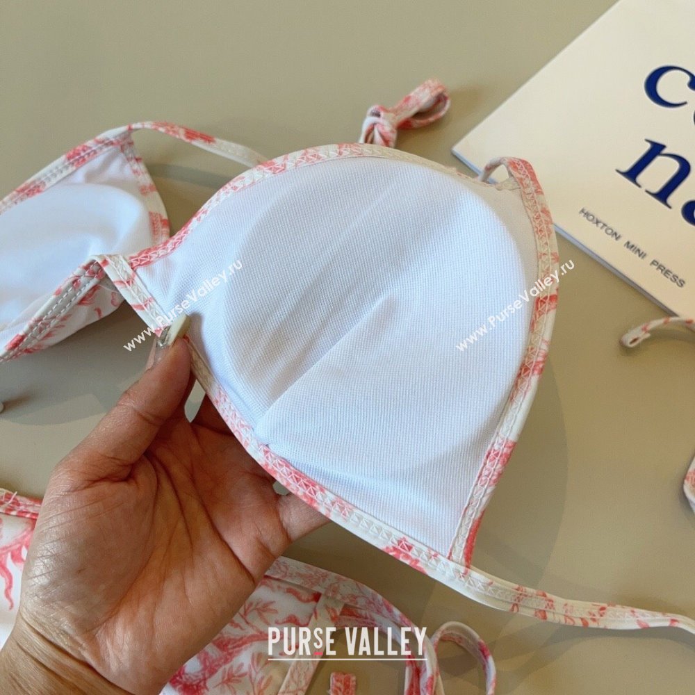 Dior Soleil Two-Pieces Swimwear White/Pink 2025 (WM-250313046)