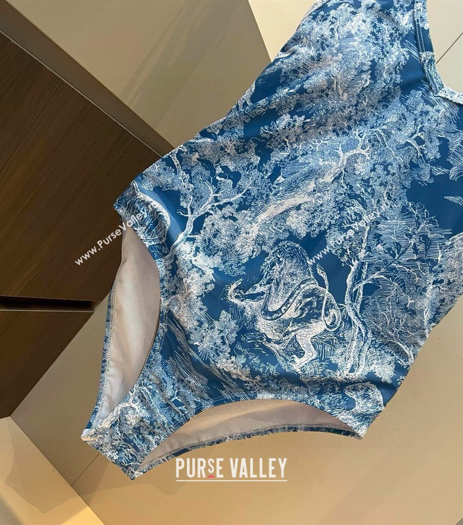 Dior One-Piece Swimwear Denim 2025 0313 (WM-250313056)