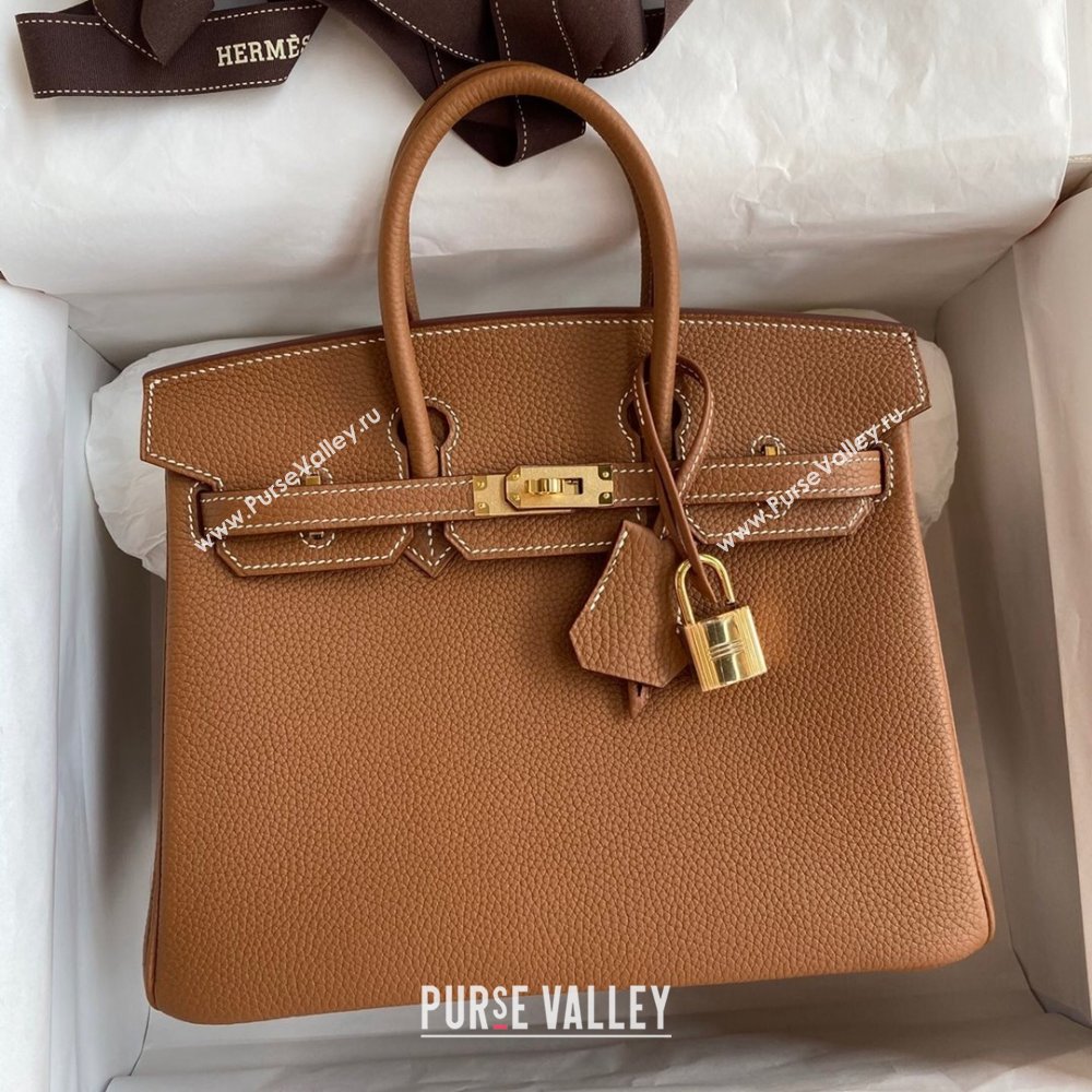 Hermes Birkin 25cm Bag in Original Togo Leather Brown/Gold 2023 (Pure Handmade) (Y-23110801)