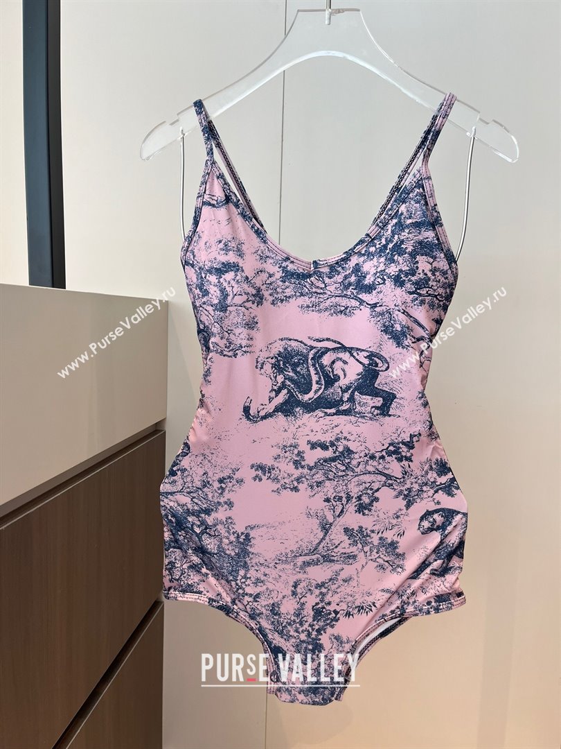 Dior One-Piece Swimwear Light Pink 2025 0313 (WM-250313057)