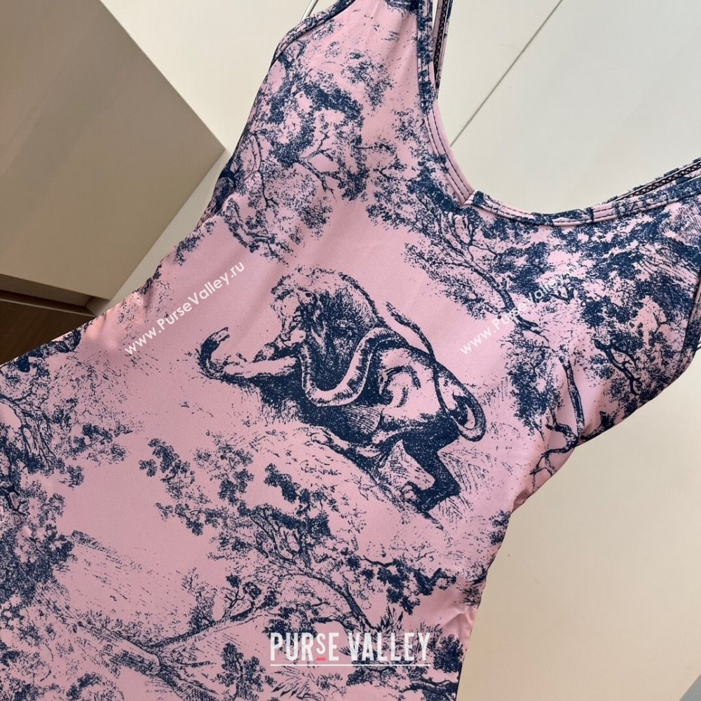Dior One-Piece Swimwear Light Pink 2025 0313 (WM-250313057)