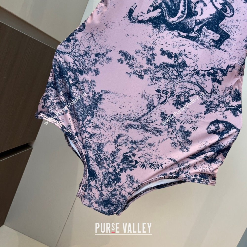 Dior One-Piece Swimwear Light Pink 2025 0313 (WM-250313057)