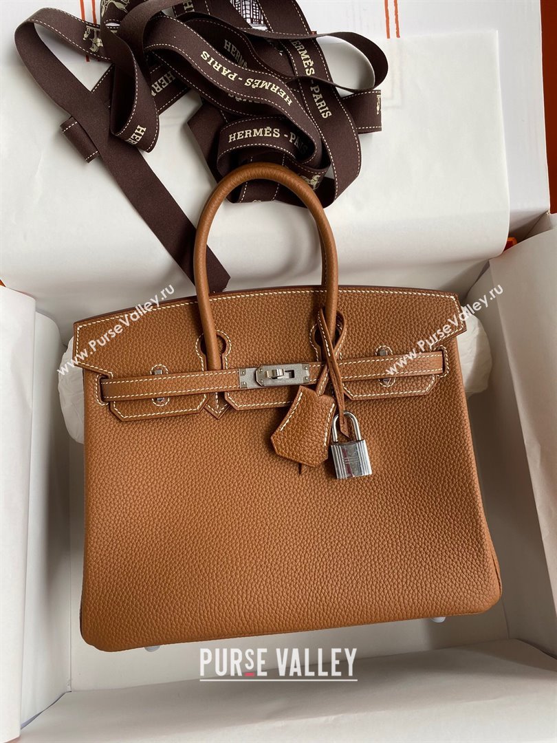 Hermes Birkin 25cm Bag in Original Togo Leather Brown/Silver 2023 (Pure Handmade) (Y-23110802)