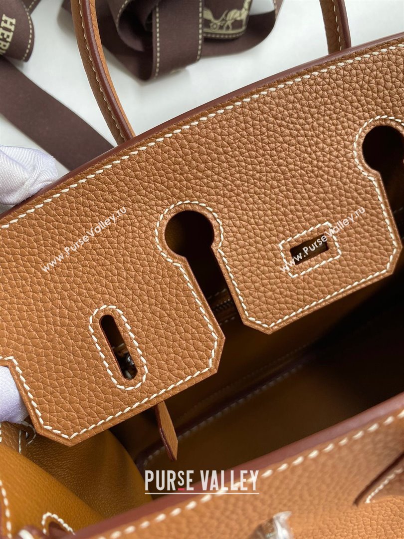 Hermes Birkin 25cm Bag in Original Togo Leather Brown/Silver 2023 (Pure Handmade) (Y-23110802)