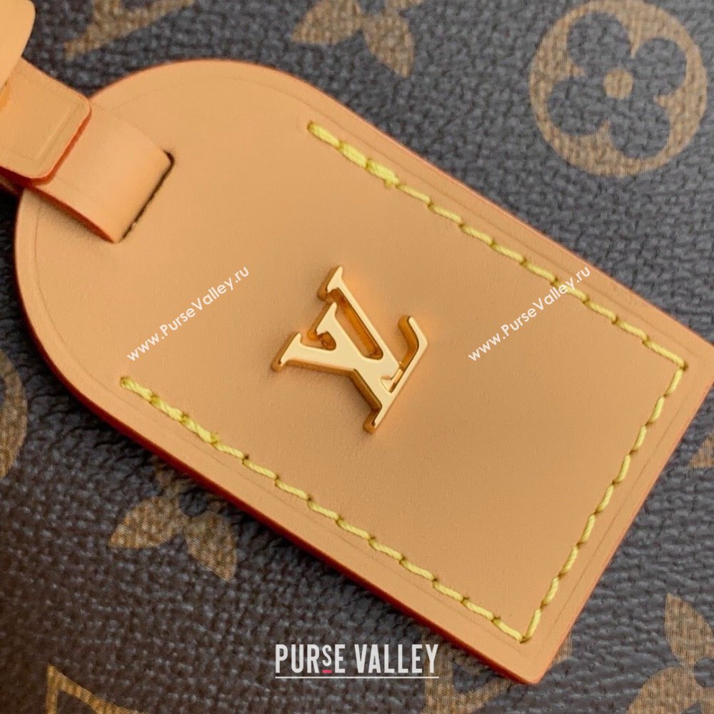 Louis Vuitton CarryAll BB Bag in Monogram Canvas M13014 2025 (K-25011410)