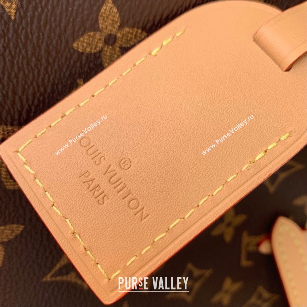 Louis Vuitton CarryAll BB Bag in Monogram Canvas M13014 2025 (K-25011410)