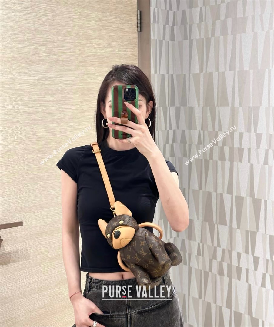 Louis Vuitton Pooch Bag inMonogram Canvas M12617 2025 (K-25011418)