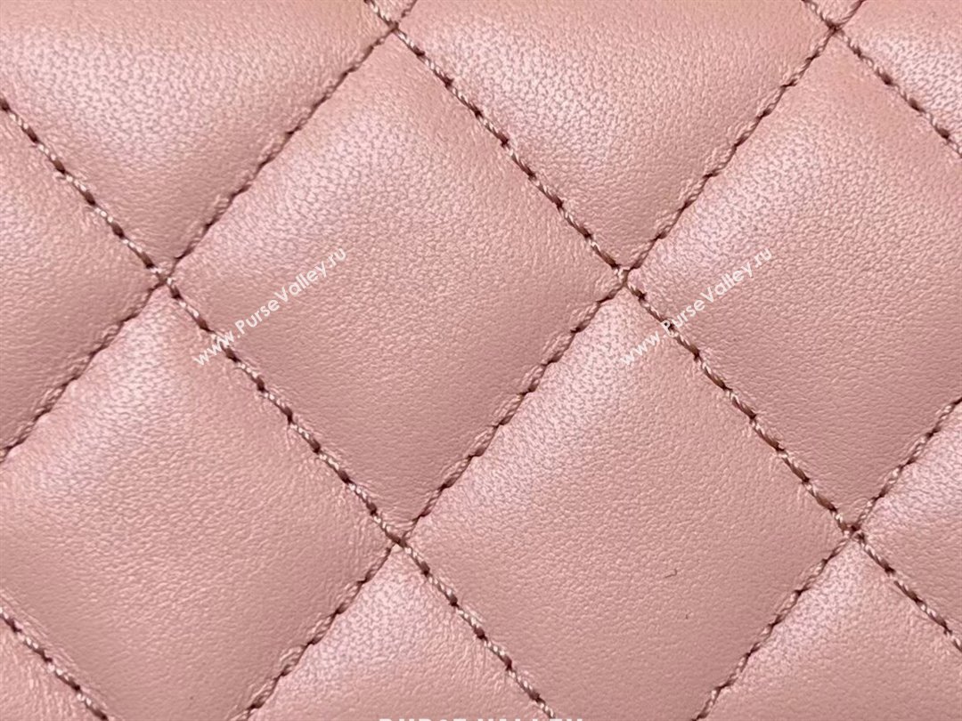 Chanel Lambskin Small Flap Bag with Metal Ball AS1787 Pink/Gold 2024 Top Quality (SHUNY-24040228)