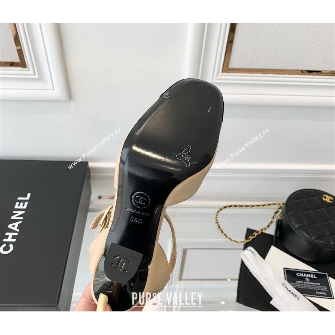 Chanel Lambskin Pumps 9cm with Logo Back Apricot 2021 (MD-21080916)