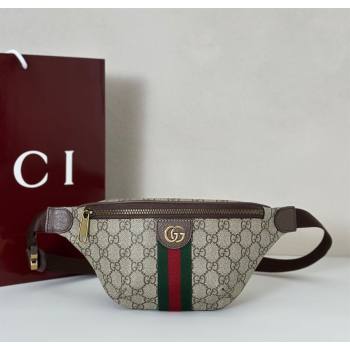 Gucci Ophidia GG Canvas Small Belt Bag 2025 839106 (DLH-250808006)