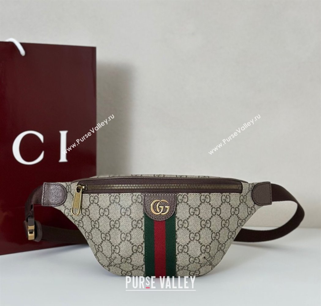 Gucci Ophidia GG Canvas Small Belt Bag 2025 839106 (DLH-250808006)