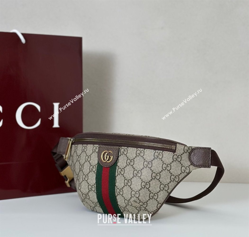Gucci Ophidia GG Canvas Small Belt Bag 2025 839106 (DLH-250808006)