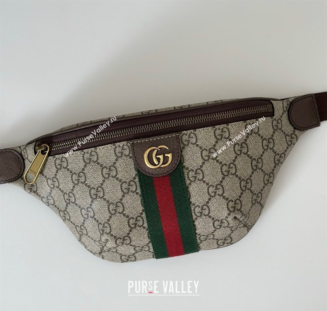 Gucci Ophidia GG Canvas Small Belt Bag 2025 839106 (DLH-250808006)