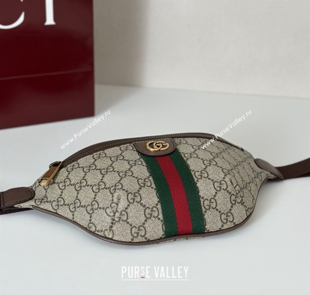 Gucci Ophidia GG Canvas Small Belt Bag 2025 839106 (DLH-250808006)