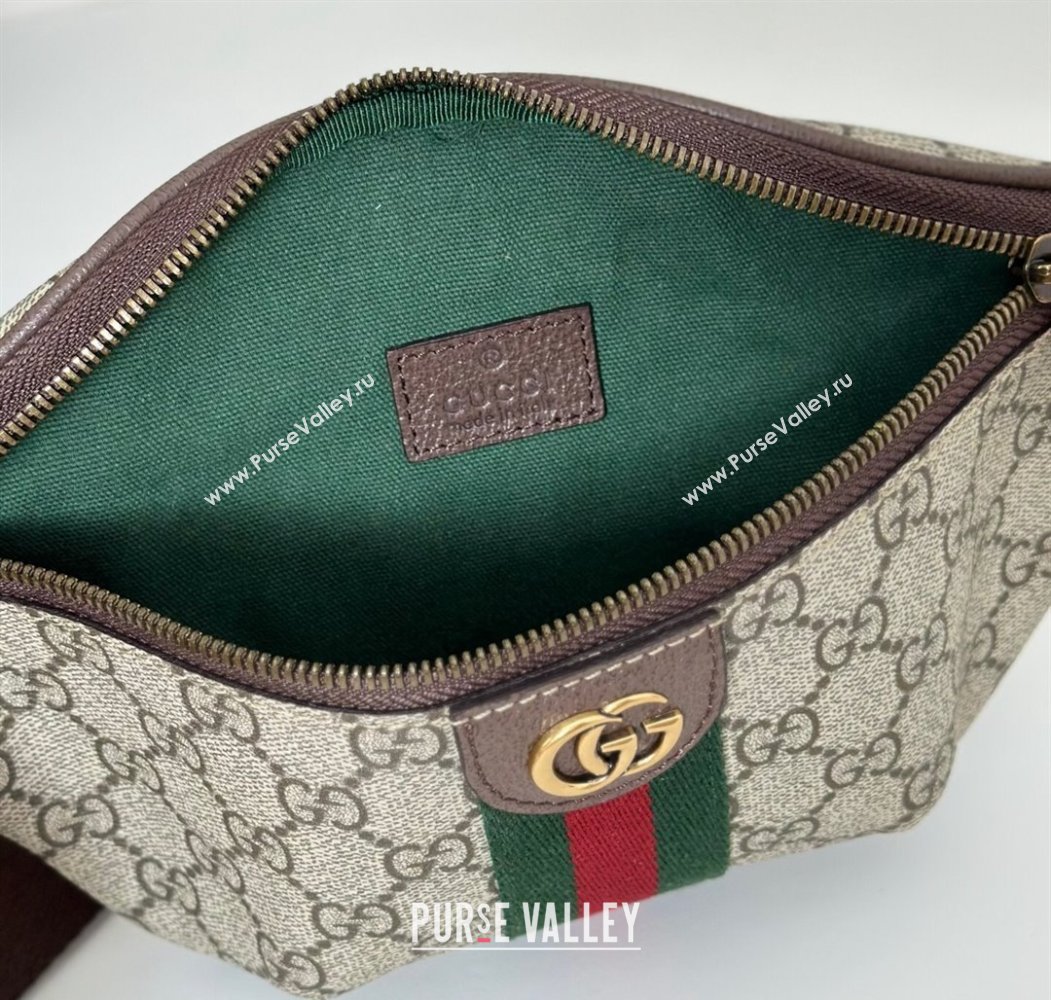 Gucci Ophidia GG Canvas Small Belt Bag 2025 839106 (DLH-250808006)
