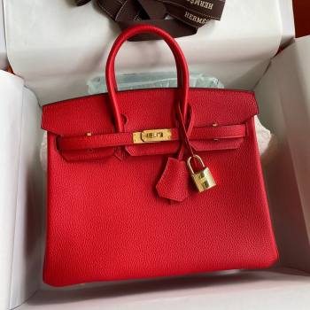 Hermes Birkin 25cm Bag in Original Togo Leather Red/Gold 2023 (Pure Handmade) (Y-23110821)