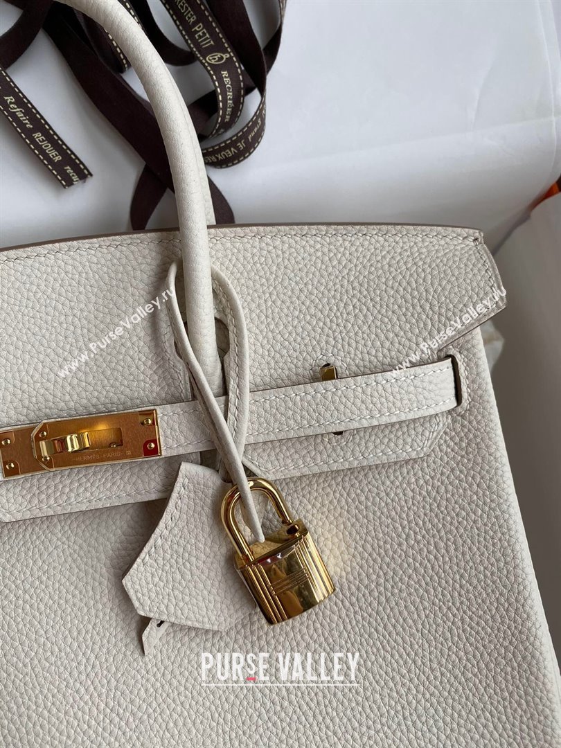 Hermes Birkin 25cm Bag in Original Togo Leather Milkshake White/Gold 2023 (Pure Handmade) (Y-23110822)